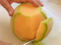 Jerked Cantaloupe Salsa, Picture